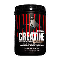 Креатин моногидрат Universal Nutrition Creatine 300 g