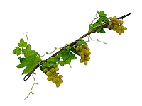 Искусственная ветка виноградная лоза 3 штуки Муляж фрукты для декора L 58 cm FORKOPT