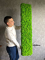 3D Панель зі стабілізованого моху 25 см*130 см скандинавський мох MiNature Moss