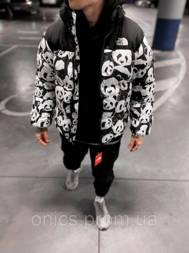 Куртка зимняя в стиле The North Face панды хорошее качество - фото 5 - id-p1946502898