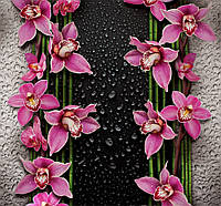 Фотообои *Малиновые орхидеи* 196х210