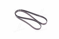 Поліклінові ремені Micro-V (Вир-во Gates) 7PK1715 UA51