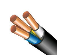 Провода (ДСТУ) ВВГ П нгд 3/2,5 Каблекс