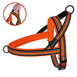 Шлея для собак Скандинавська ТМ BronzeDog Mesh помаранчева обхват грудей 36см обхват живота 44-60см М, фото 2