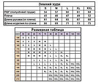 Зимний базовый однотонный худи с начесом черный RD001 хорошее качество