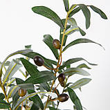 Штучна рослина Engard Olive Tree, 80 см (DW-20), фото 5