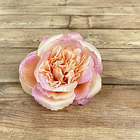 Головка троянді "мірі" персиково-рожева