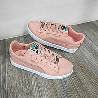 Кеди молодіжні Navigator на шнурівці пудрові