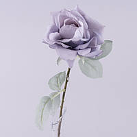 Роза гостролиста з блакитним листком (бузкова)
