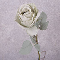 Троянда з блакитним листочком (мятна)