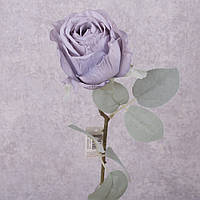 Троянда з блакитним листочком (бузкова)