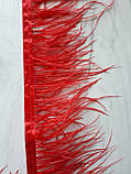 Пір'я на стрічці 8-10 см червоні (1уп=10ярд) Ціна за 0.5м, фото 3
