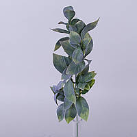 Гілка "лаврове листя" фіолетово-зелене