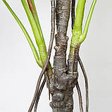 Штучна рослина Engard Monstera, 165 см (DW-22), фото 3