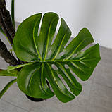 Штучна рослина Engard Monstera, 165 см (DW-22), фото 6