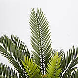 Штучна рослина Engard Cycas Palm, 60 см (DW-25), фото 2