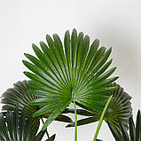 Штучна рослина Engard Fan Palm, 95 см (DW-26), фото 2