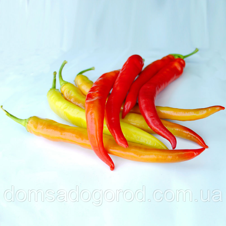 Гострий перець ФАРІН F1 Nasko 20 шт