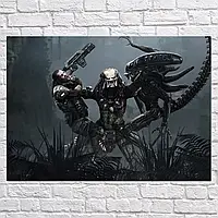 Плакат "Чужой против Хищника, Alien vs Predator", 43×60см