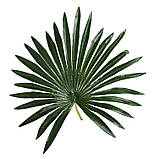 Штучна рослина Engard Fan Palm, 120 см (DW-27), фото 5
