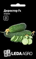 ДИРЕКТОР F1 / DIRECTOR F1, 10 насінин — партенокарпічний огірок, LEDAAGRO