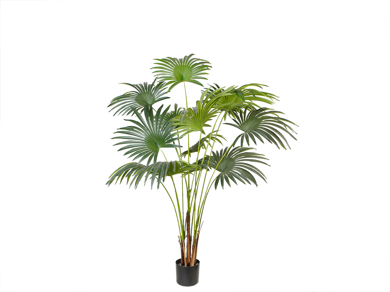 Штучна рослина Engard Fan Palm, 150 см (DW-28)