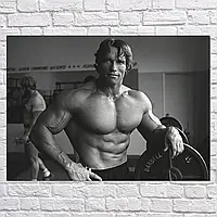 Плакат "Арнольд Шварценеггер, Мистер Олимпия, спортзал, Arnold Schwarzenegger", 43×60см