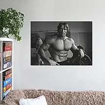 Плакат "Арнольд Шварценеггер, Містер Олімпія, спортзал, Arnold Schwarzenegger", 43×60см, фото 2