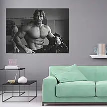 Плакат "Арнольд Шварценеггер, Містер Олімпія, спортзал, Arnold Schwarzenegger", 43×60см, фото 2