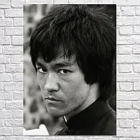 Плакат "Брюс Лі, Bruce Lee", 60×43см