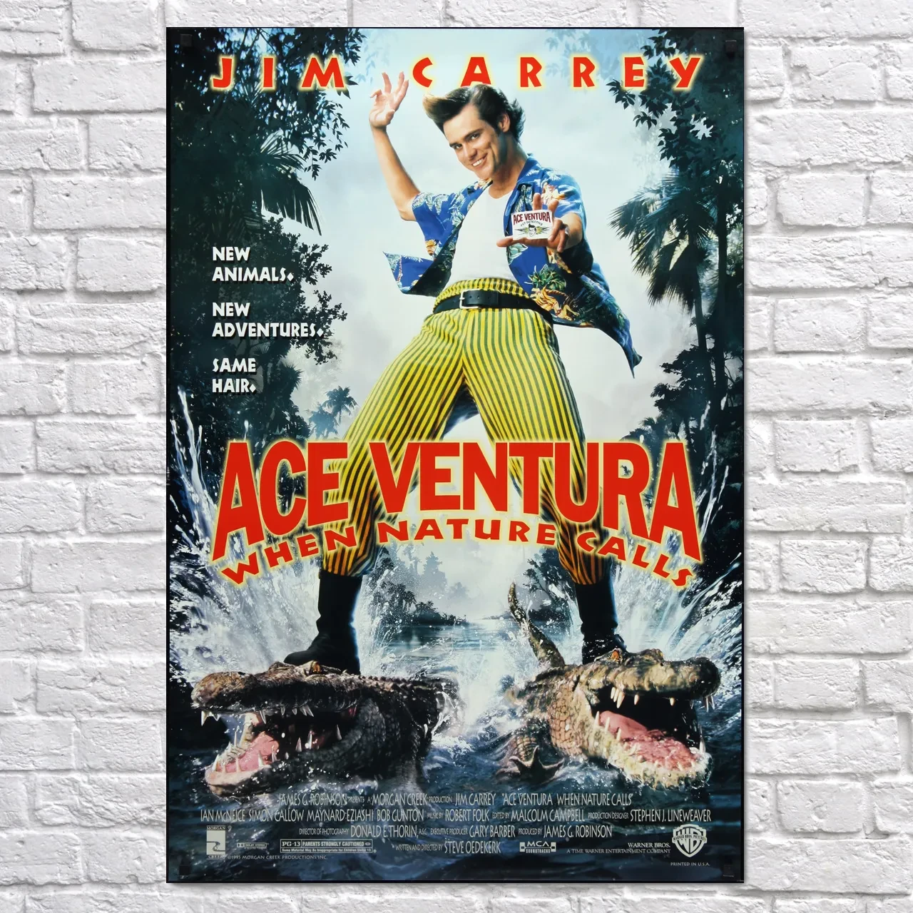 Плакат "Ейс Вентура 2, Ace Ventura 2 (1995)", 60×43см