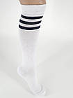 Жіночі гольфи демісезонні  Neco  до коліна темно-синіми смужками розмір 36-40 білі 6 пар/уп, фото 3