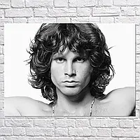 Плакат "Джим Моррисон, The Doors, Jim Morrison", 43×60см