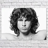 Плакат "Джим Моррисон, The Doors, Jim Morrison", 42×30см