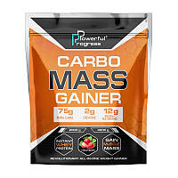 Белковый гейнер для тренировок Carbo Mass Gainer (4 kg, vanilla), Powerful Progress Bomba