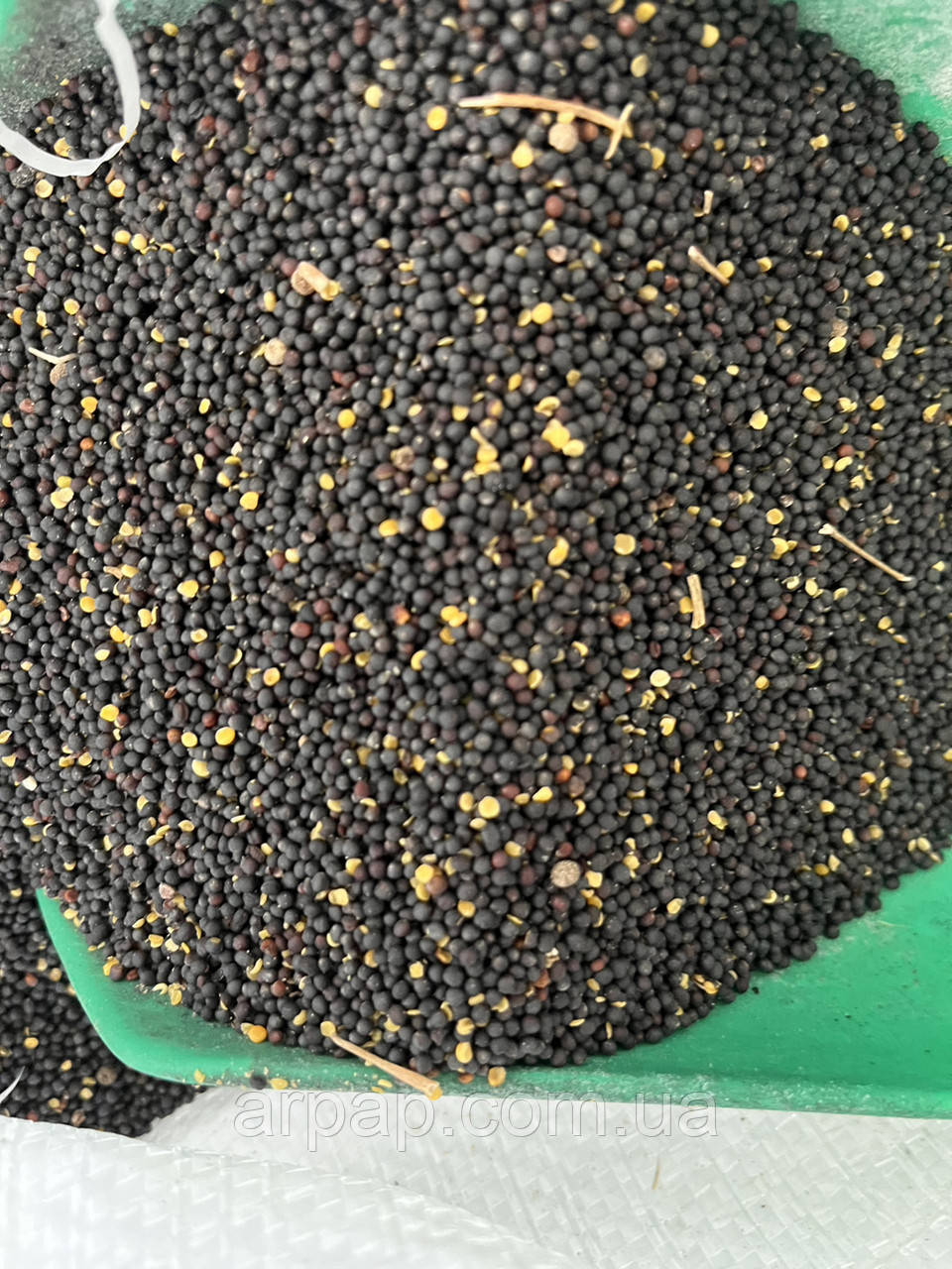 Ріпак, фото 1