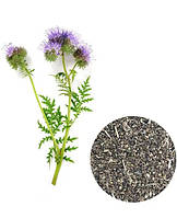 Фацелія 1кг