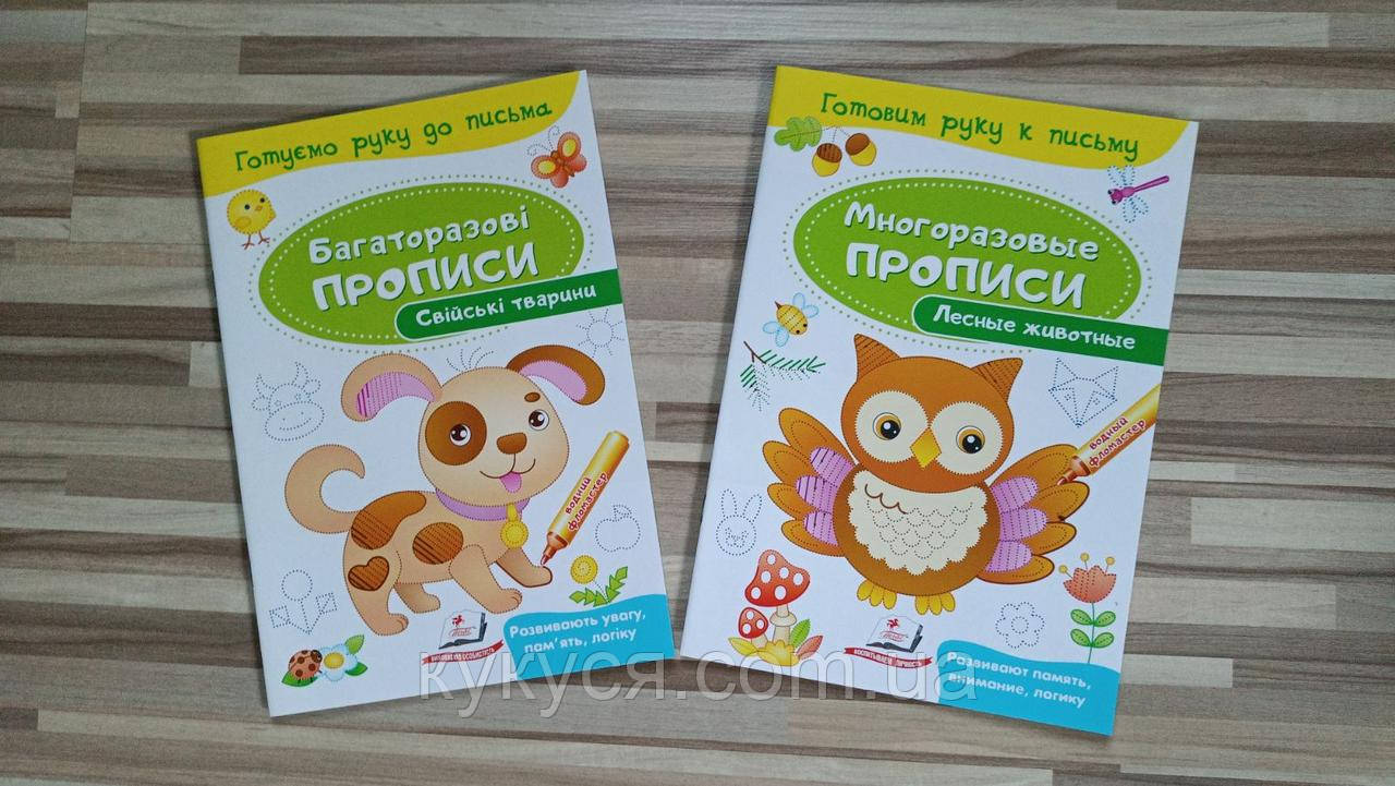 Багаторазові прописи