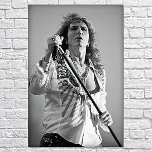 Плакат "Девід Ковердейл, Whitesnake, David Coverdale", 60×40см