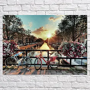 Плакат "Нідерланди, Амстердам, квіти та велосипеди, Amsterdam, Netherlands", 43×60см