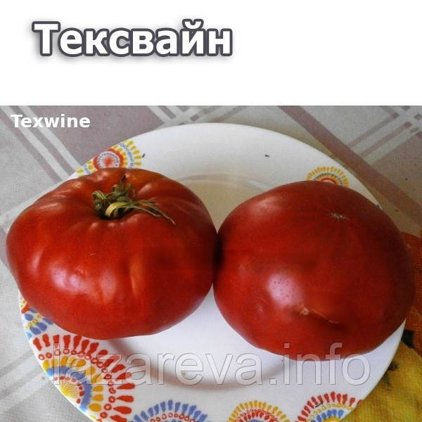 Насіння томату Насіння від Лазарєвих Тексвайн (Texwine) 0,1 гр (15-30 насінин)