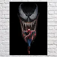 Плакат "Веном та Спайдермен, Venom, Spider-Man", 60×43см