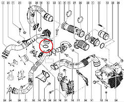 Ущільнювальне кільце патрубка інтеркулера Renault Logan II / Sandero II — 1.5 Dci (K9K) 7701071156 Оригінал