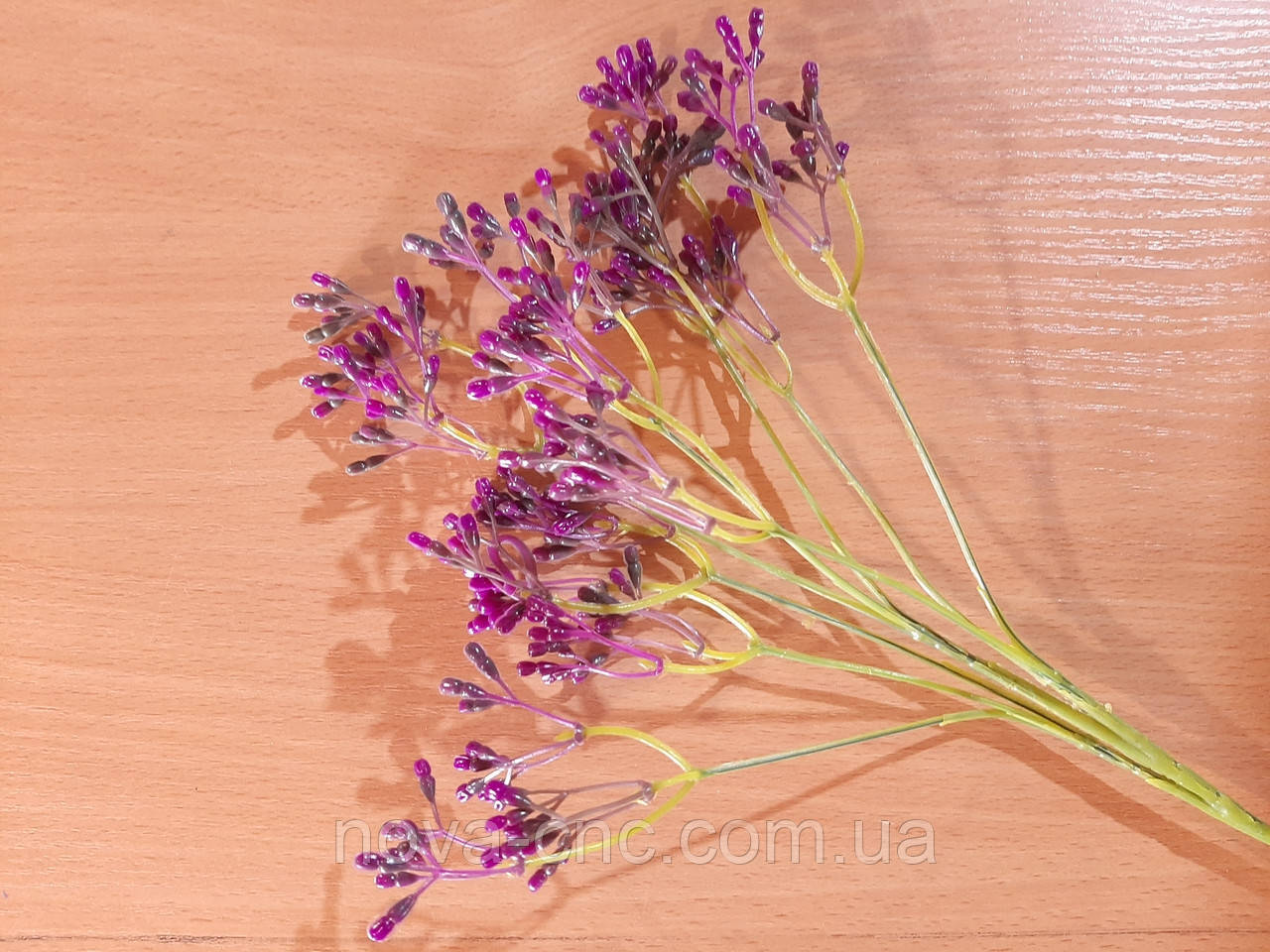 Гілки "Суцвіття" бузковий