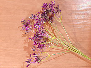 Гілки "Суцвіття" бузковий