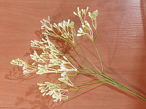 Гілки "Суцвіття" білий