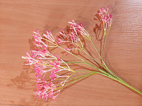 Гілки "Суцвіття" рожевий