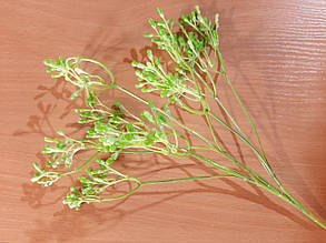 Гілки "Суцвіття" зелений