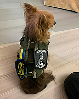 Тактический жилет для маленьких собак, с системой Молле, камуфляж пиксель