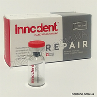 InnoDent Repair (InnoDent)